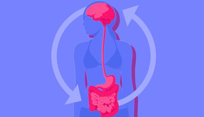 Understanding the Link Between Gut Health and Mental Health