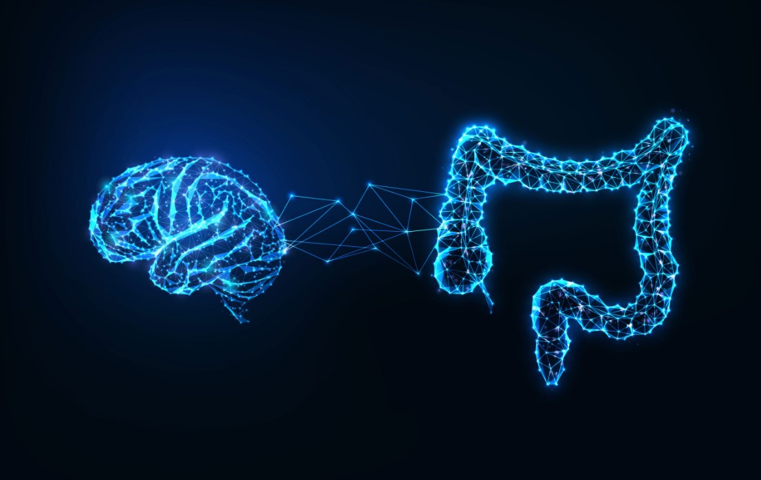 Understanding the Link Between Gut Health and Mental Health