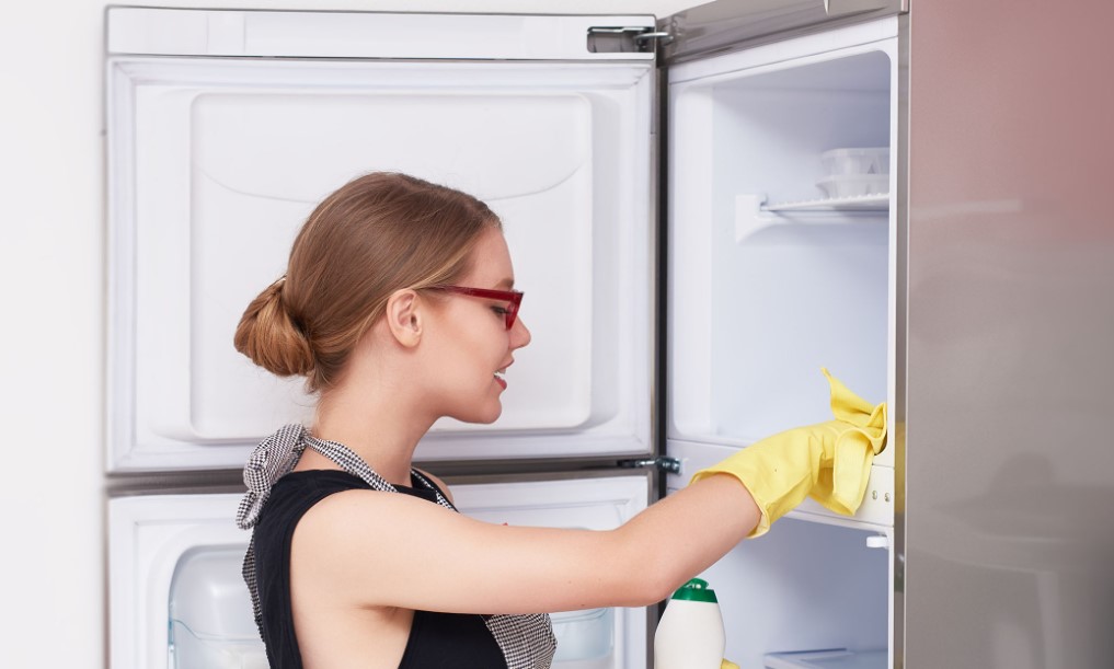 Solving the Ice Dilemma ─ Best Practices for Defrosting Your Upright